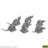 Giant Tomb Rats (6)