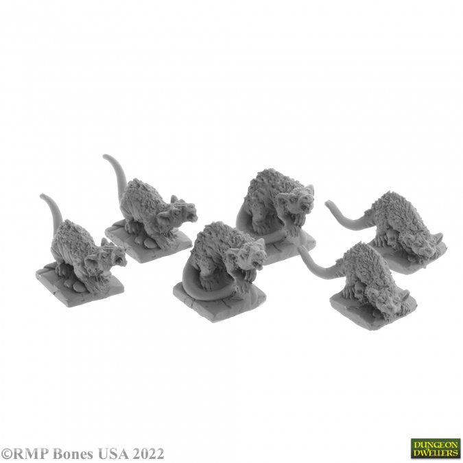 Giant Tomb Rats (6)