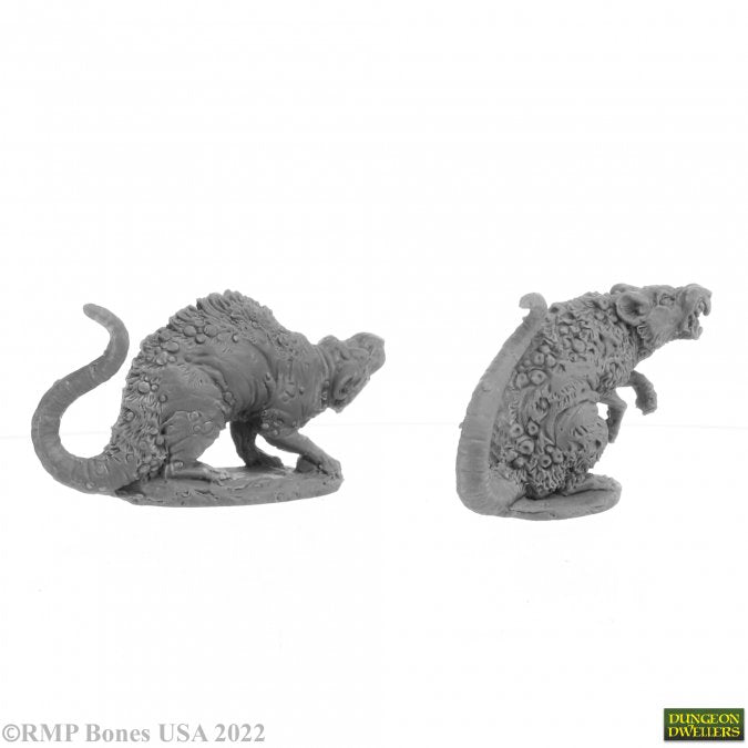 Barrow Rats (2)