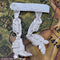 Ostsol Leg Sprue