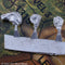 Crusader Hand / Head Sprue