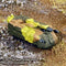 Galleon Tank (2) GAL-102