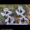 Mangonel Leg Sprue