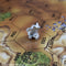 Scylla Lower Leg