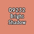 Bright Skin Shadow Master Series Paint