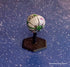 Seeker (2815)