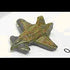 Jenghiz Micro Fighter