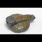 Thrush Micro Fighter