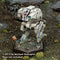 Cephalus D