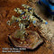 Wulfen A