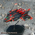 Kirghiz Mech Scale Fighter