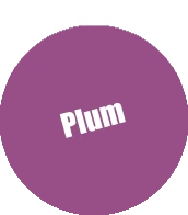 070 - Pro Acryl Plum