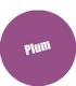 070 - Pro Acryl Plum