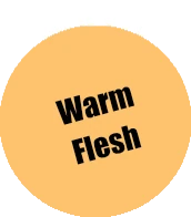 073 - Pro Acryl Warm Flesh