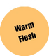 073 - Pro Acryl Warm Flesh