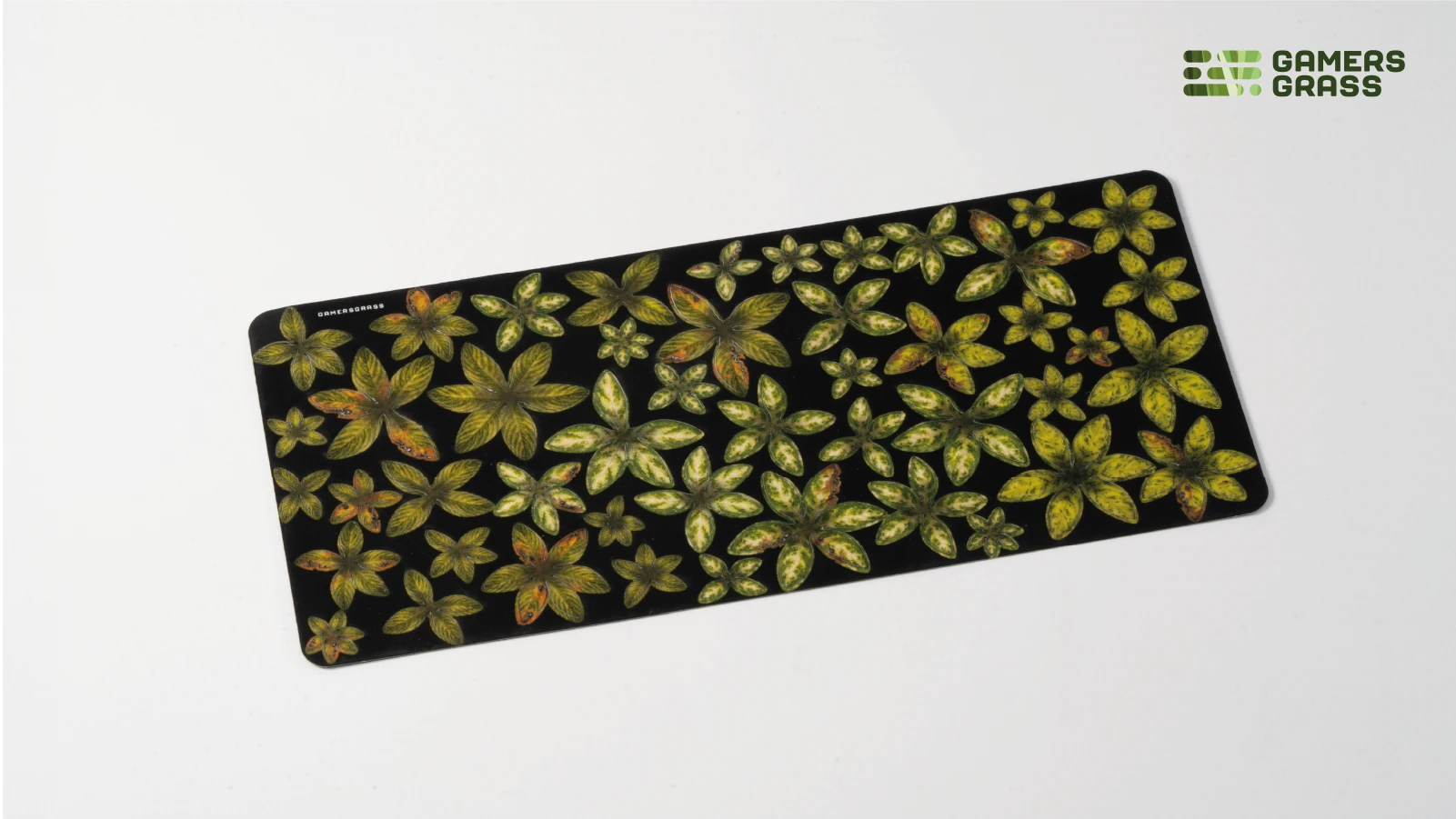 Mediterranean Temple Basing Box