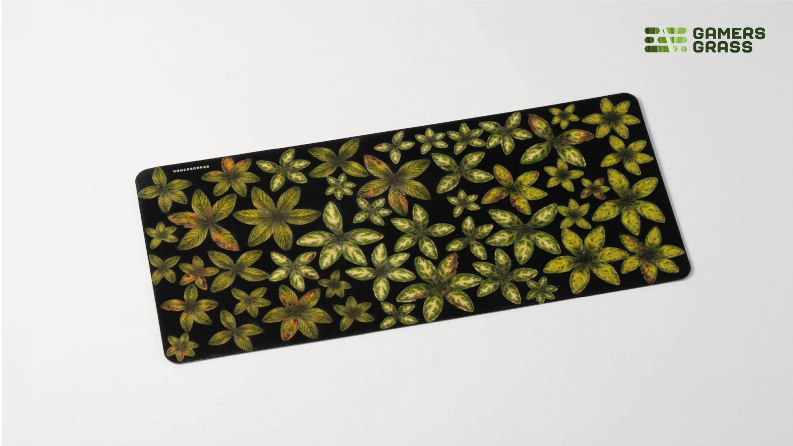 Mediterranean Temple Basing Box