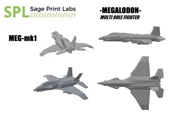 Megalodon Multi-Role Fighter
