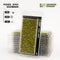 Moss