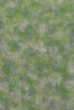 NEO-Grasslands 2 WarMat