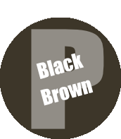 Pro Acryl PRIME 011 - Black Brown