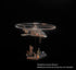 Rotor Blades