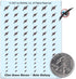 Clan Snow Raven