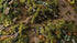 Strong Green Shrubs