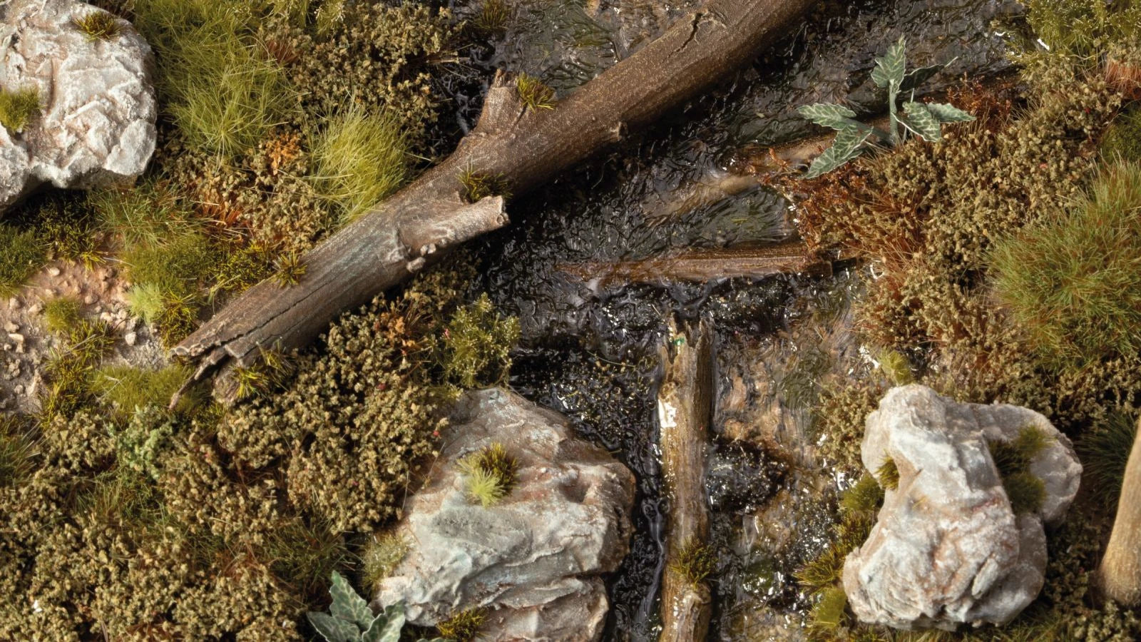 Swamp Shrubs