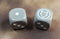 WNRP Logo Dice