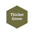 John Blanche Masterclass: Thicket Grove
