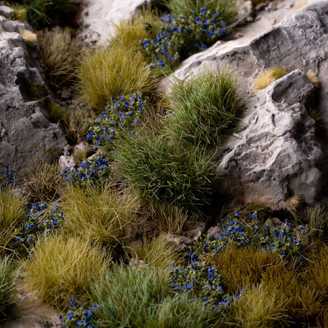 Blue Flowers