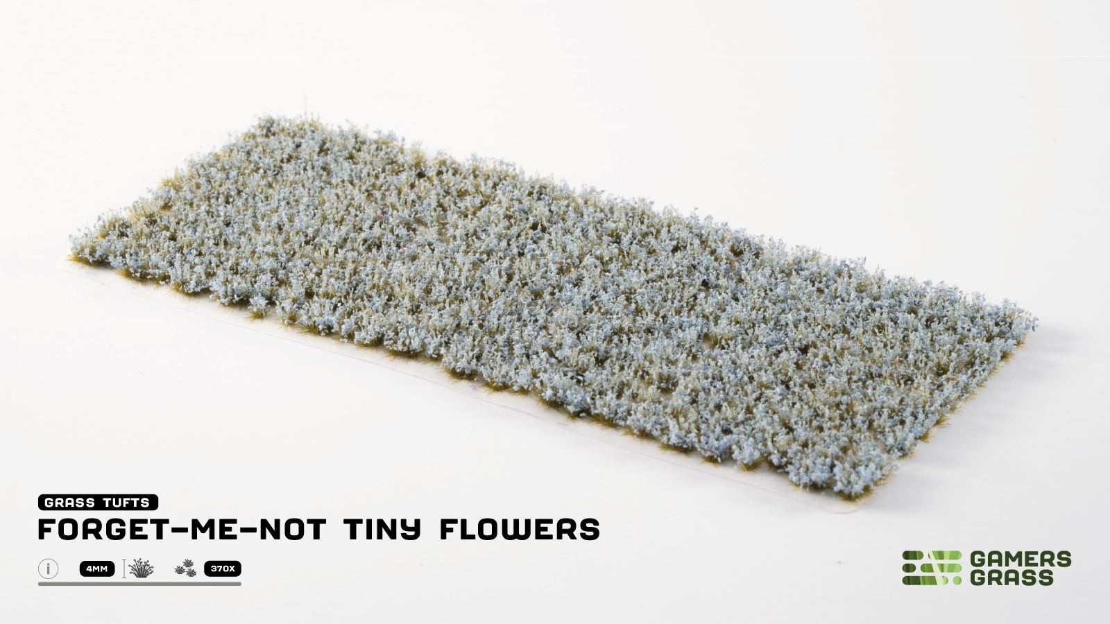 Forget-Me-Not Tiny Flowers