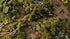 Strong Green Shrubs