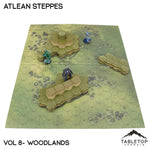 HEXTECH Atlean Steppes Map Hill Sets - 6mm