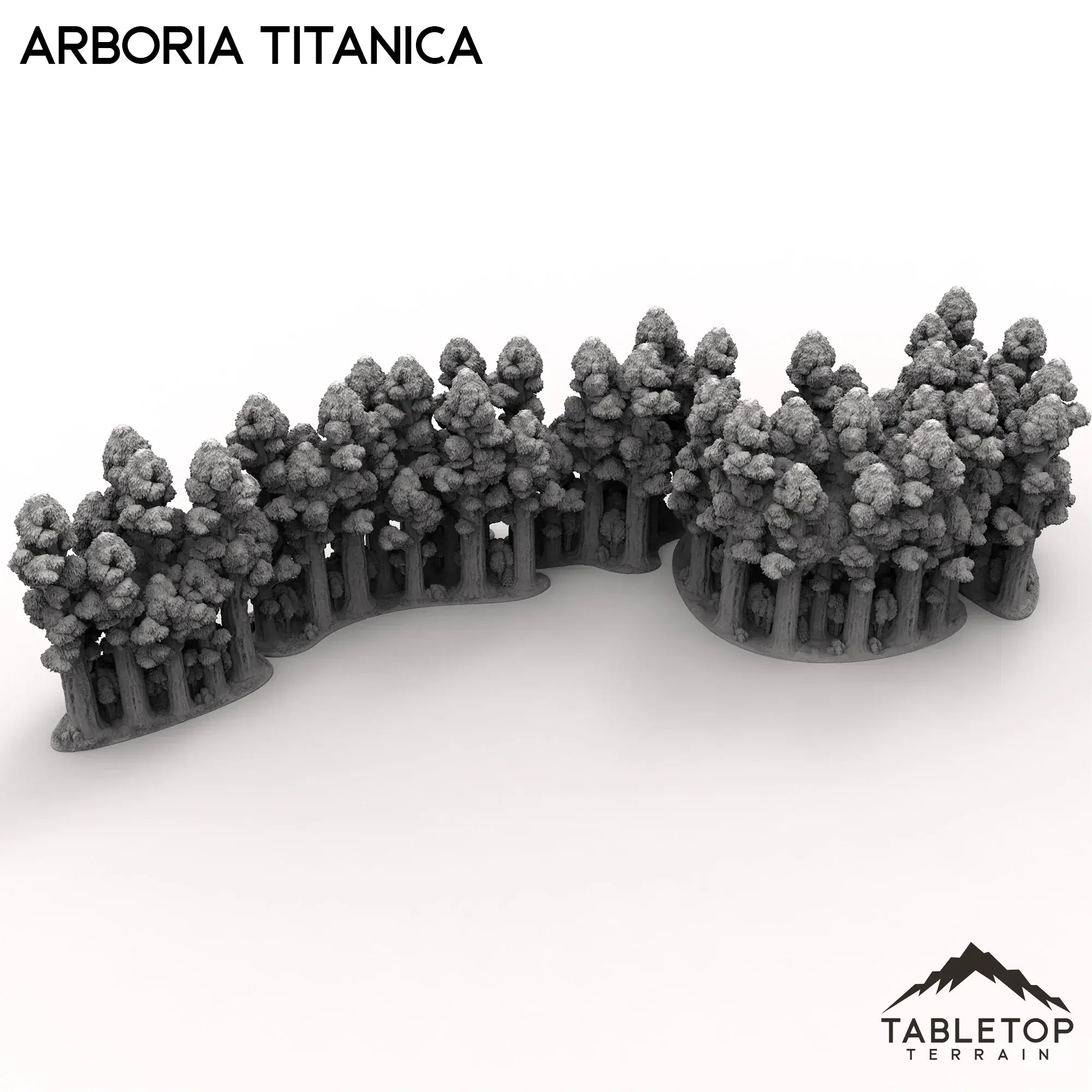 Arboria Titanica - 6-8mm