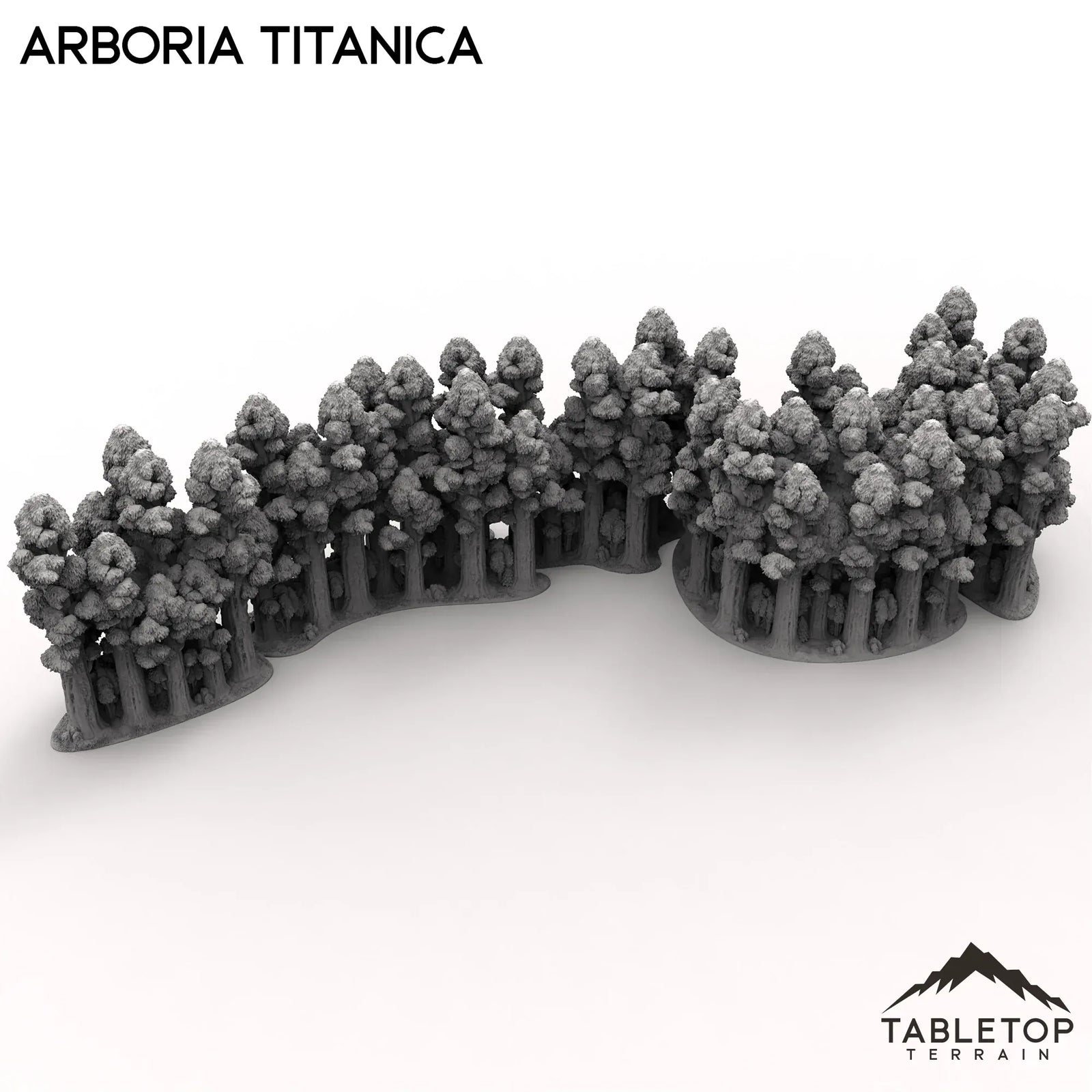 Arboria Titanica - 6-8mm