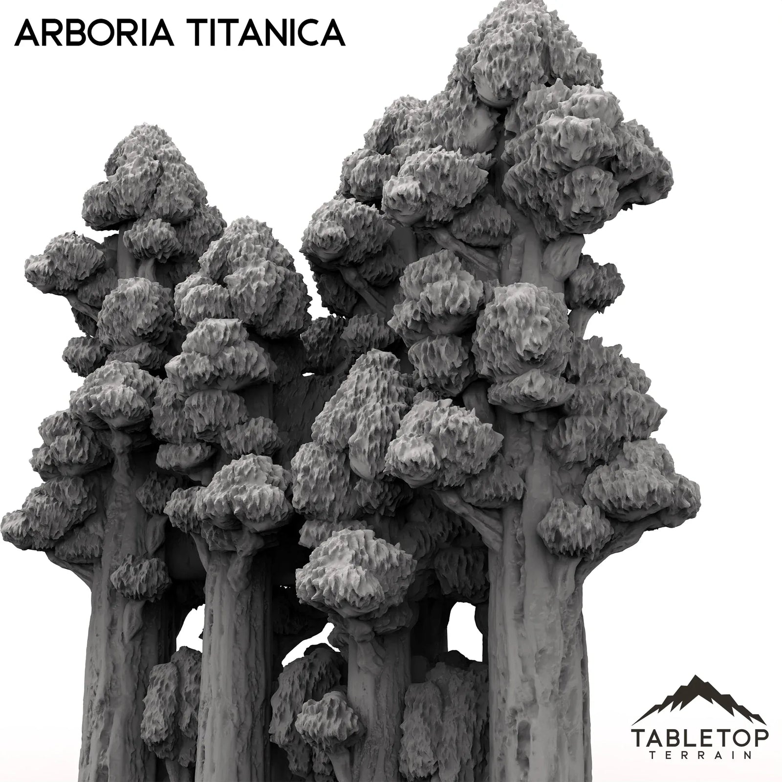 Arboria Titanica - 6-8mm