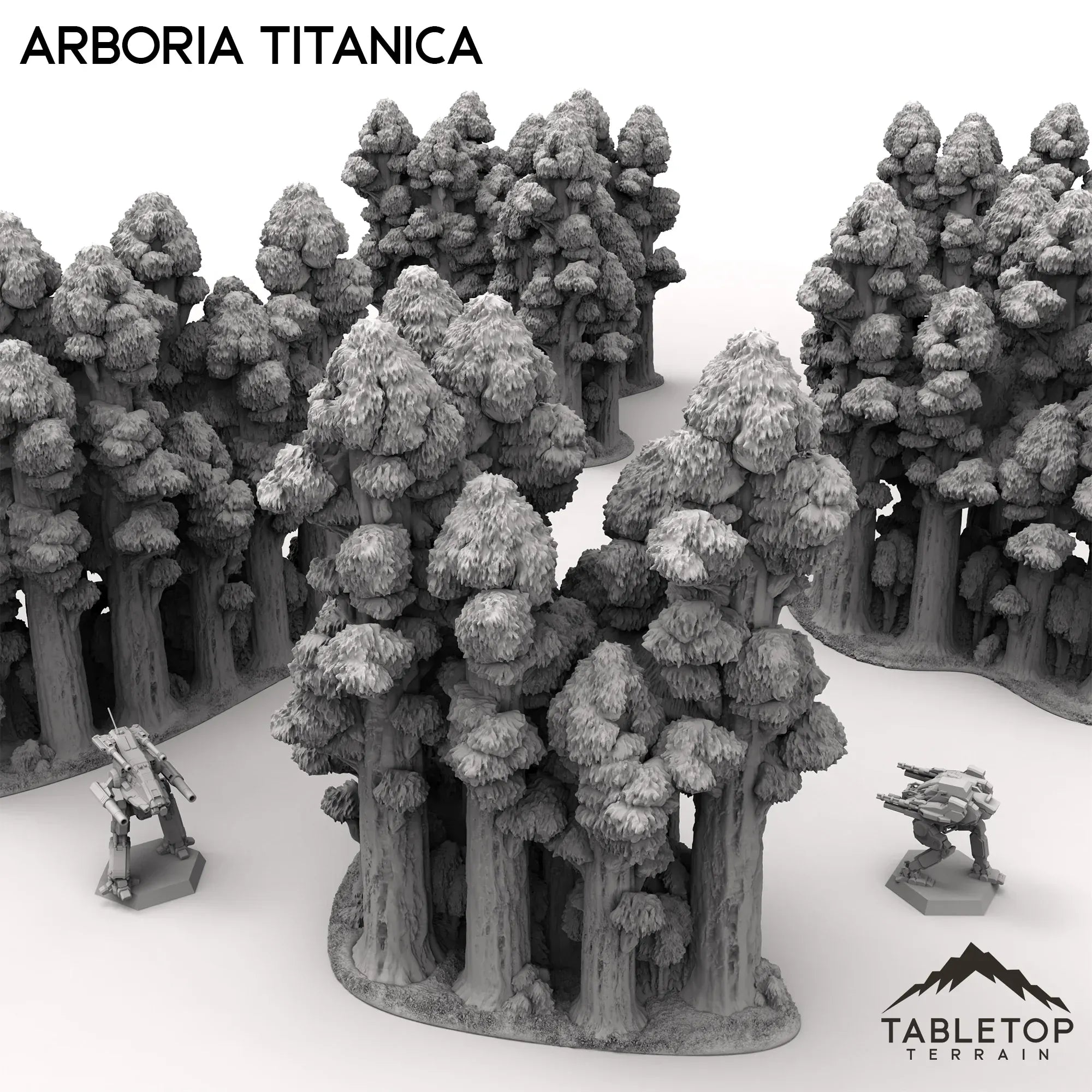 Arboria Titanica - 6-8mm