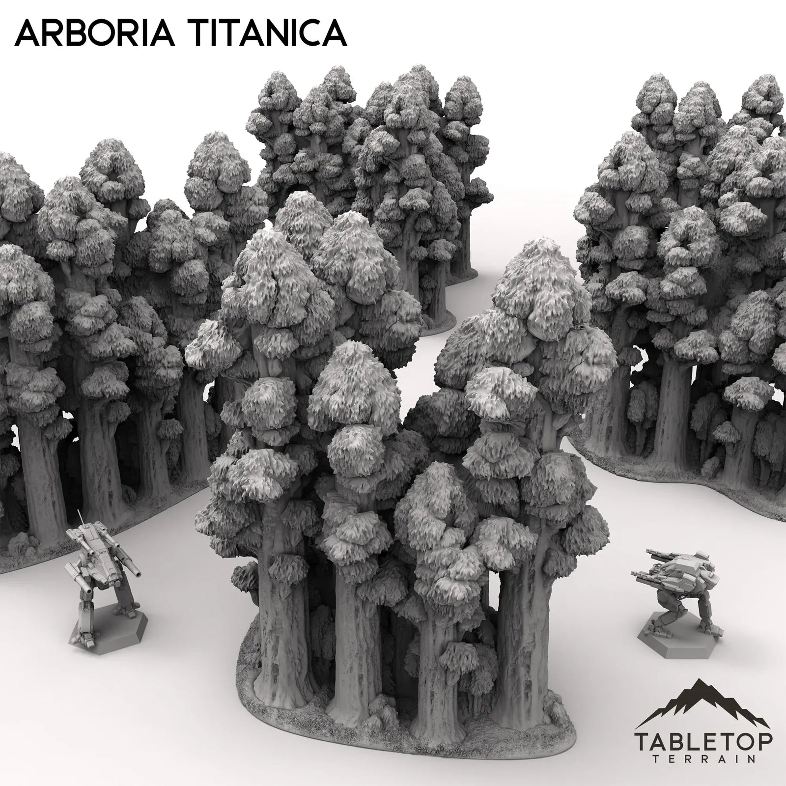Arboria Titanica - 6-8mm