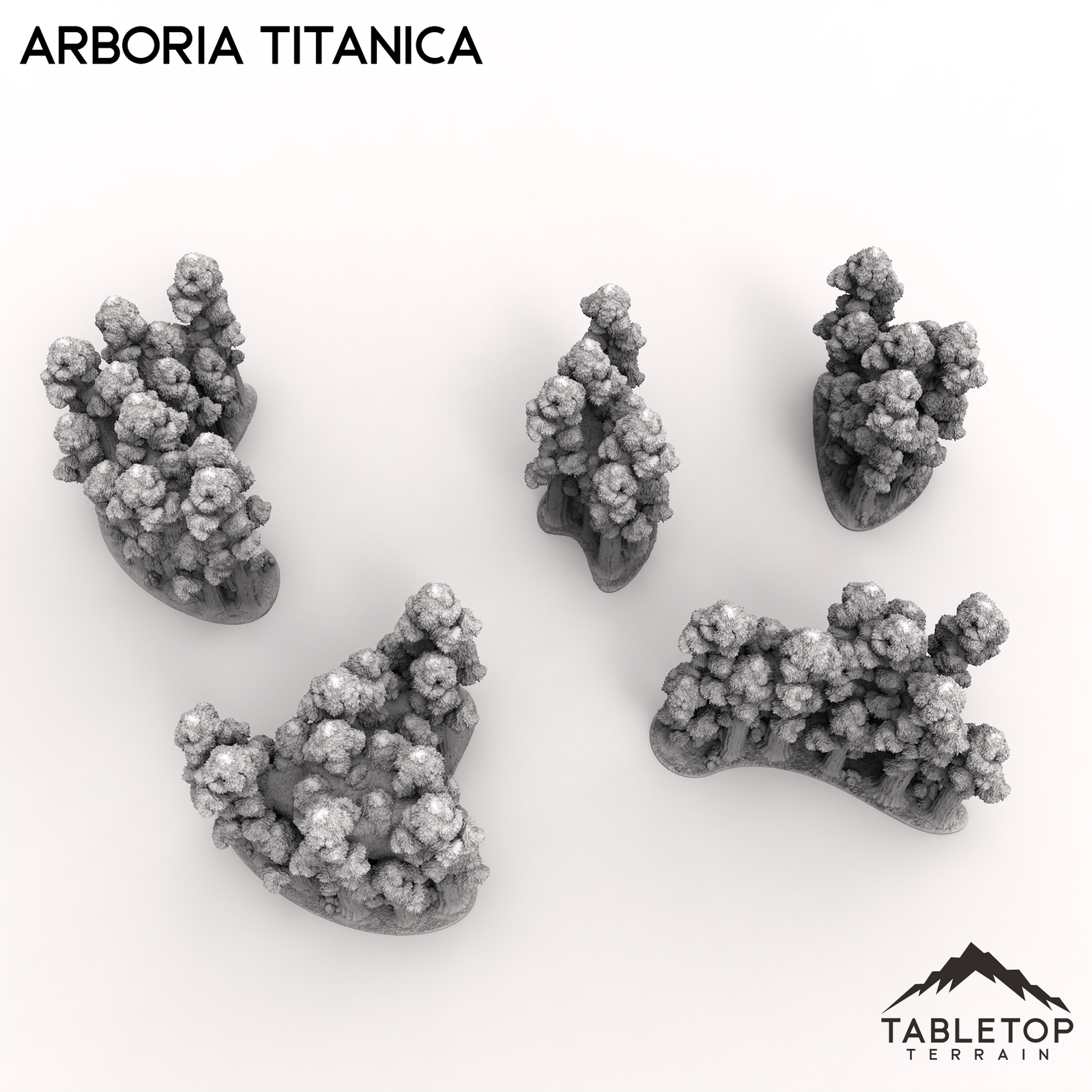 Arboria Titanica - 6-8mm