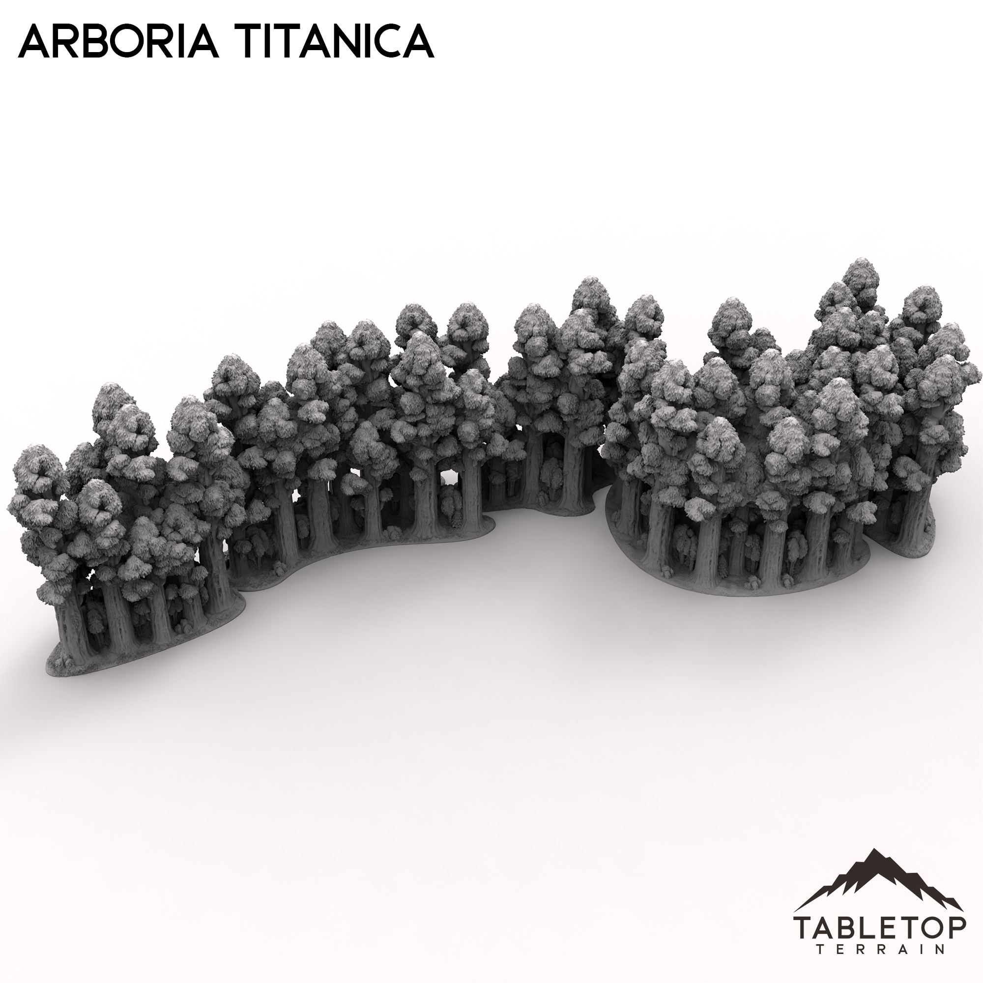 Arboria Titanica - 6-8mm