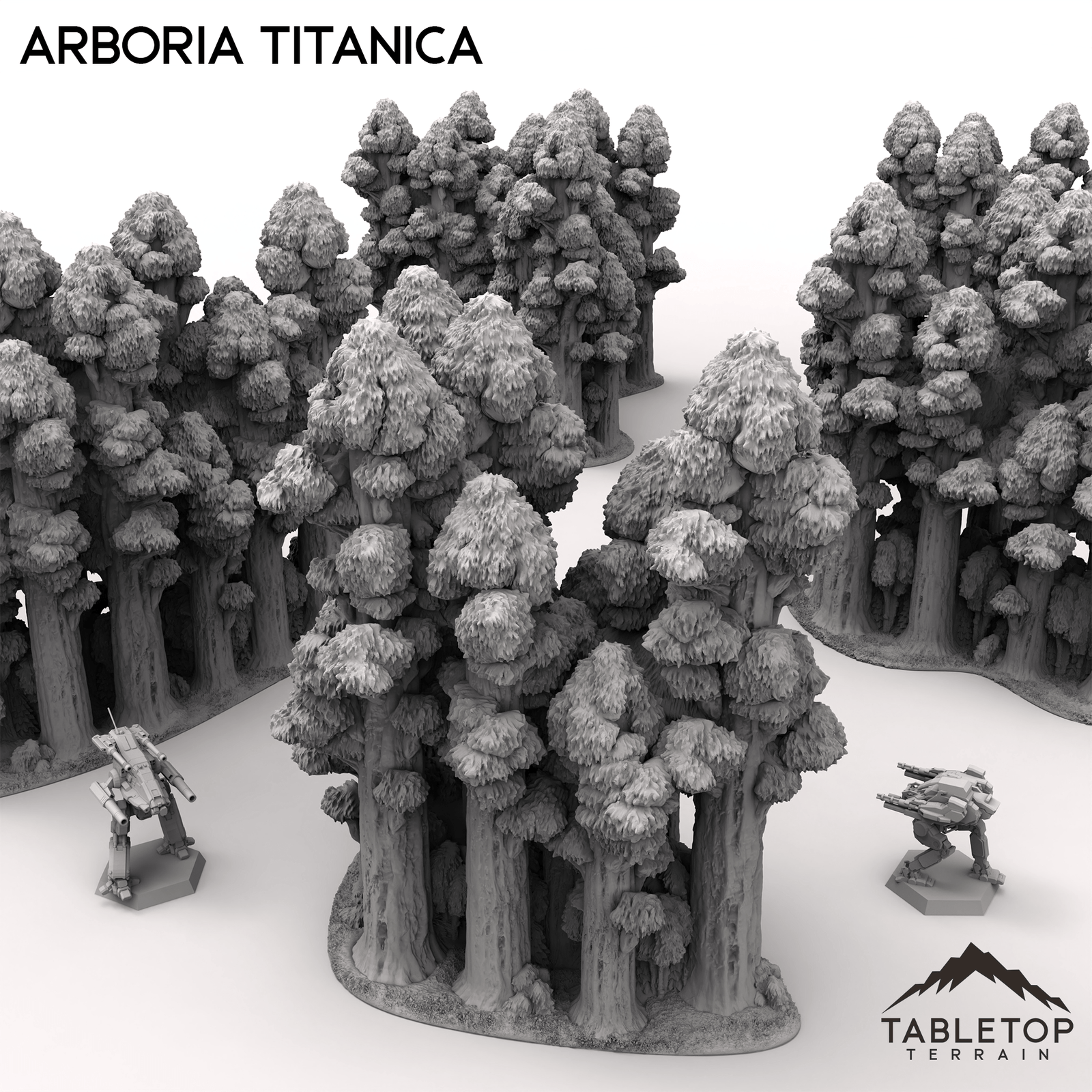 Arboria Titanica - 6-8mm