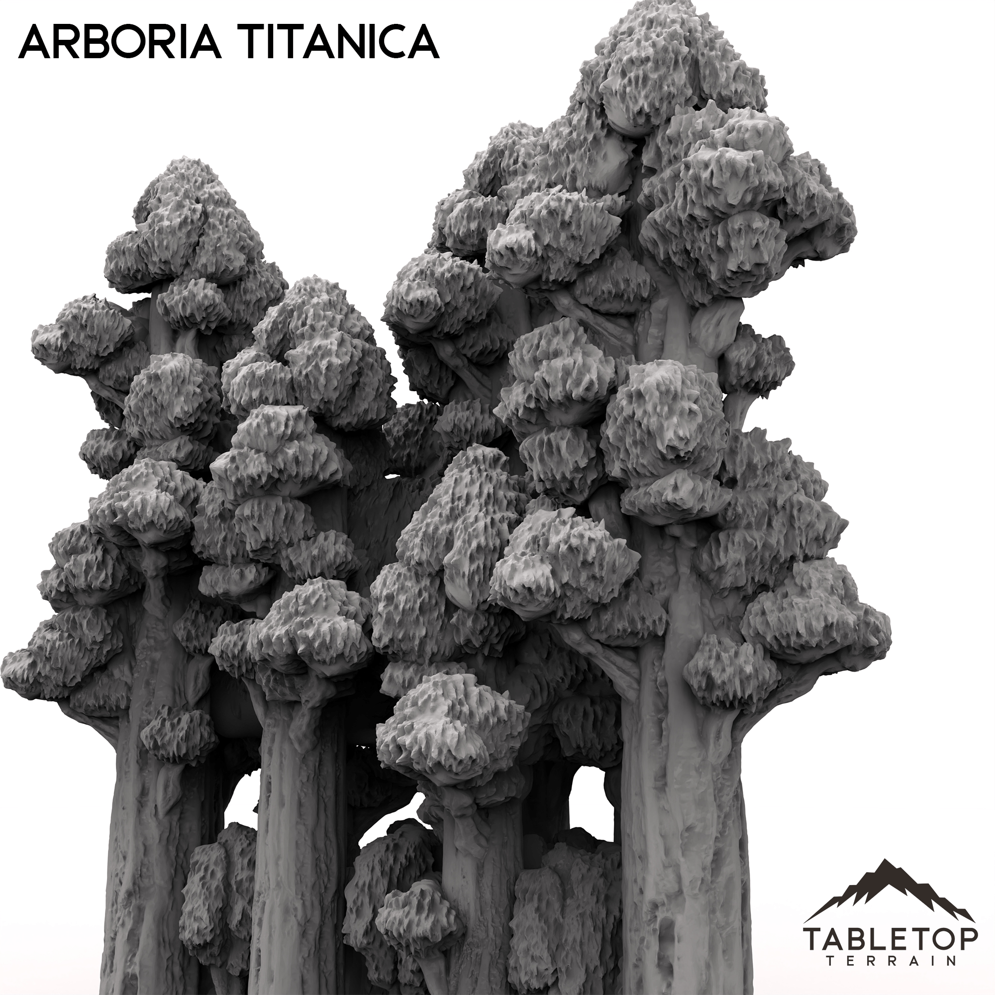 Arboria Titanica - 6-8mm