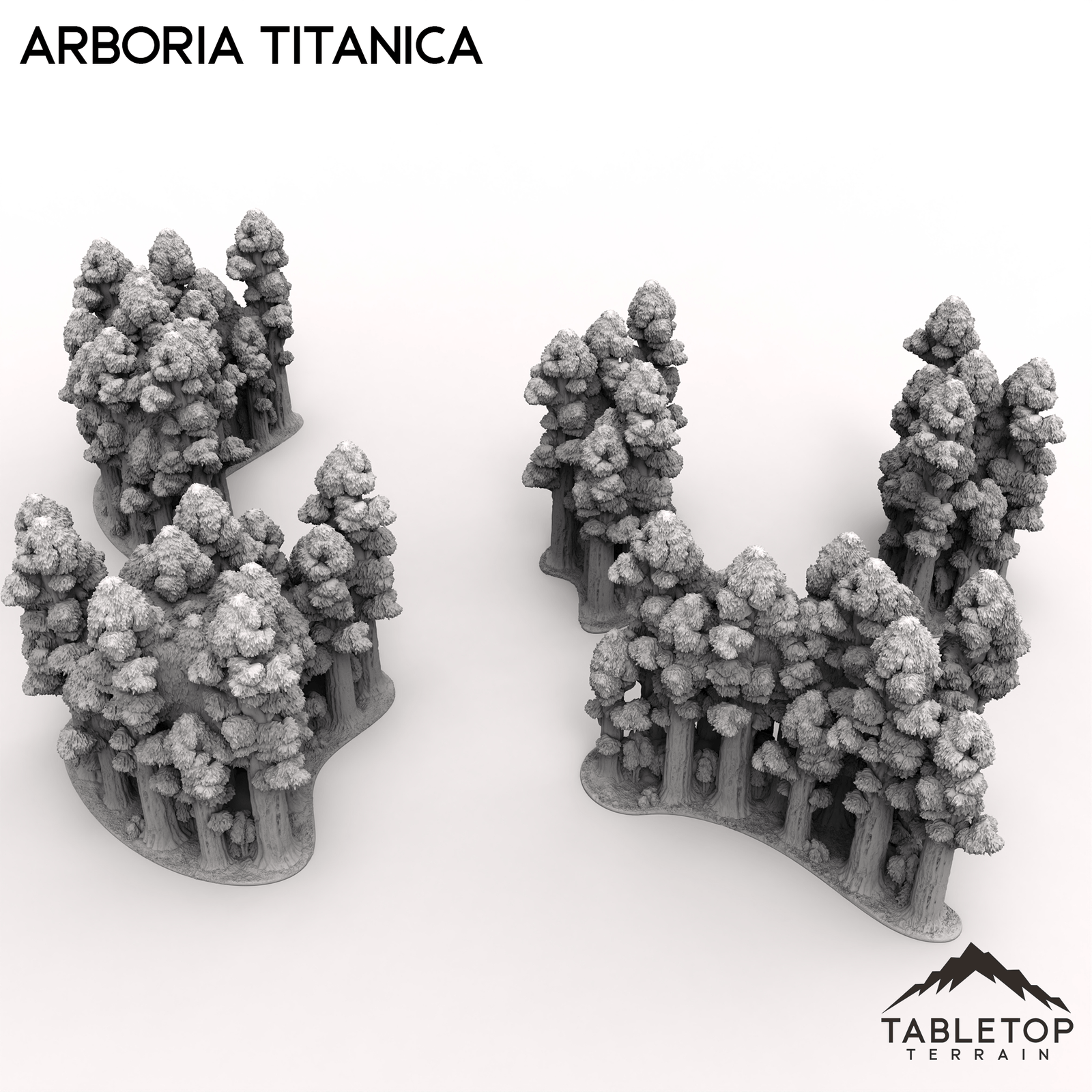 Arboria Titanica - 6-8mm