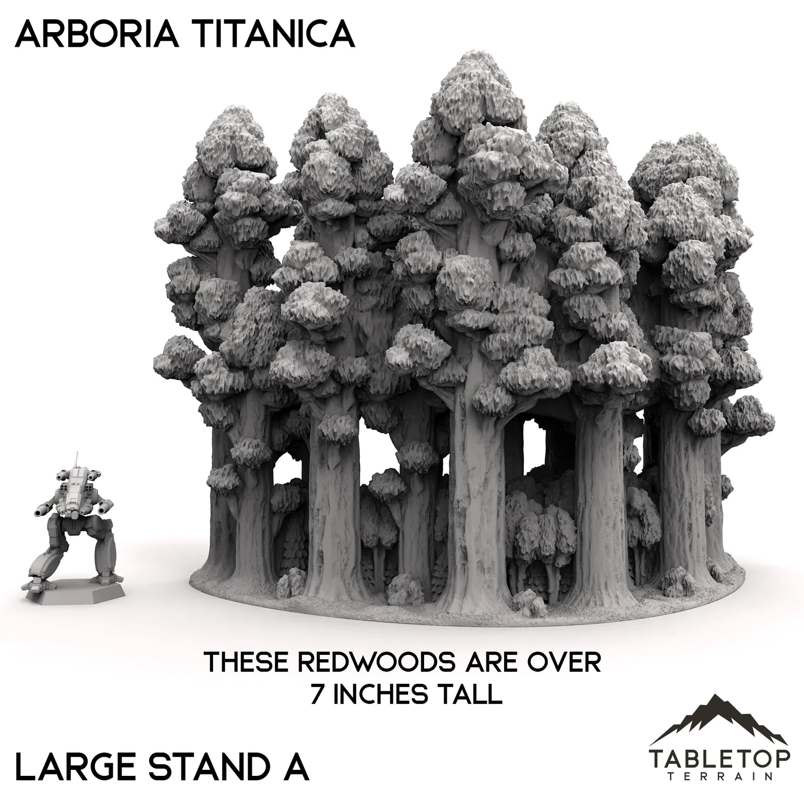 Arboria Titanica - 6-8mm
