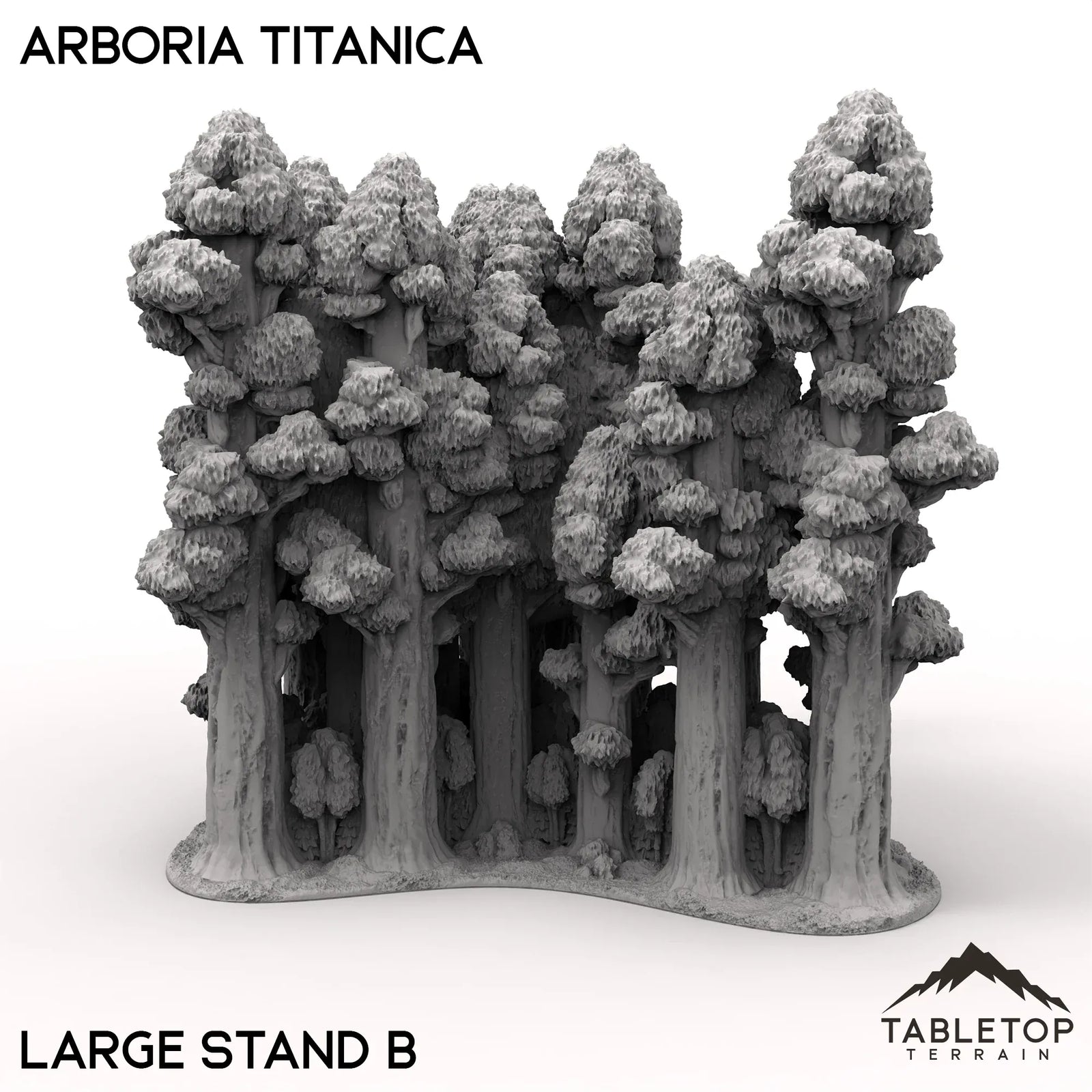 Arboria Titanica - 6-8mm