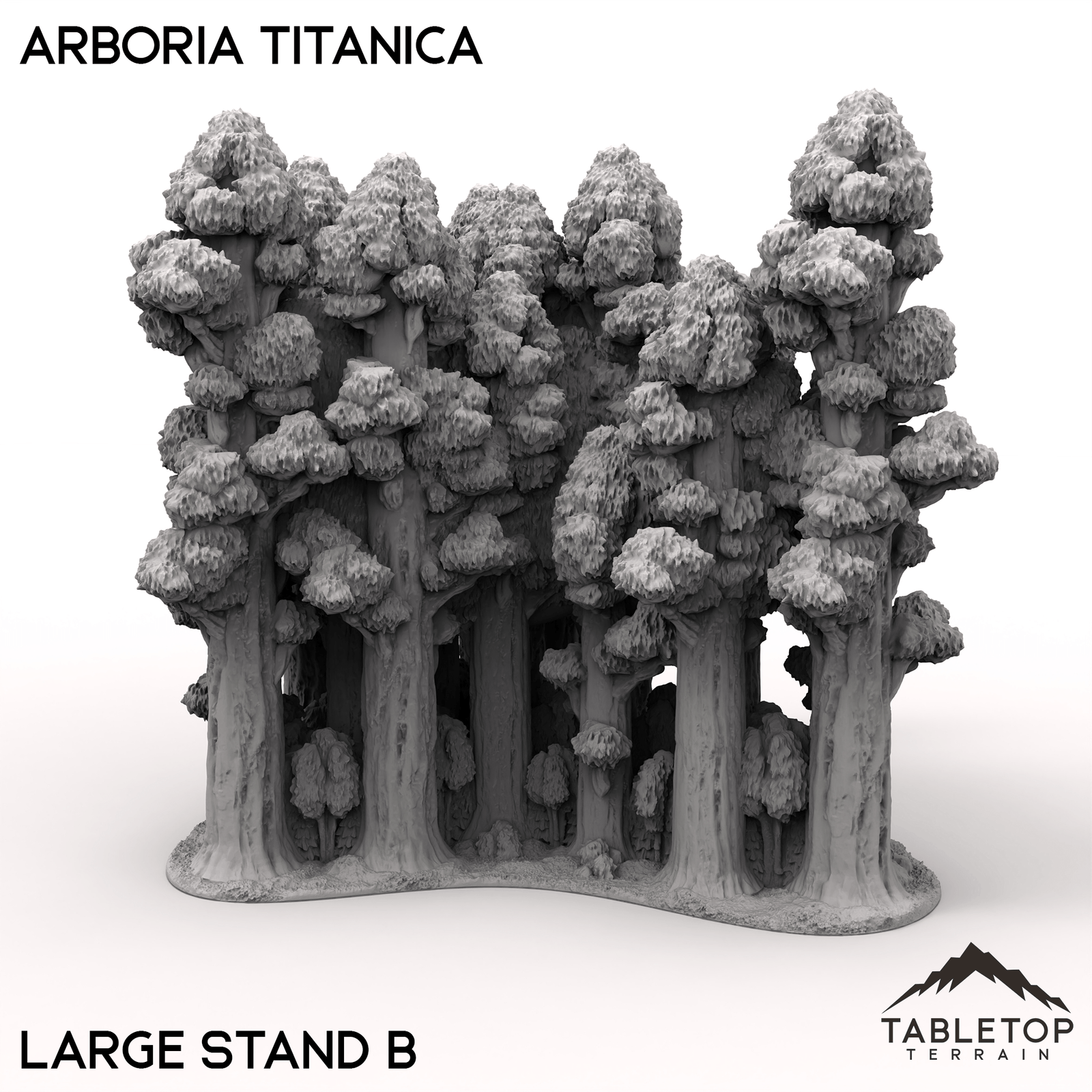 Arboria Titanica - 6-8mm