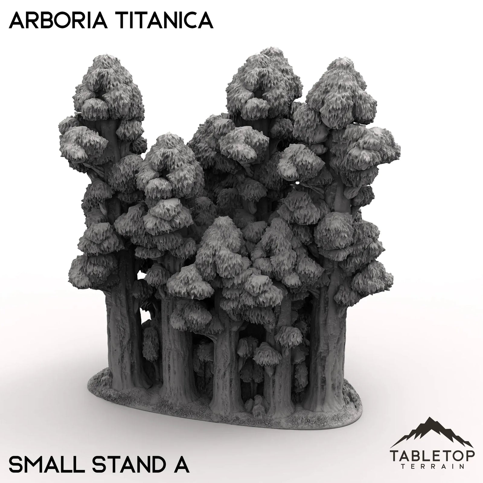 Arboria Titanica - 6-8mm