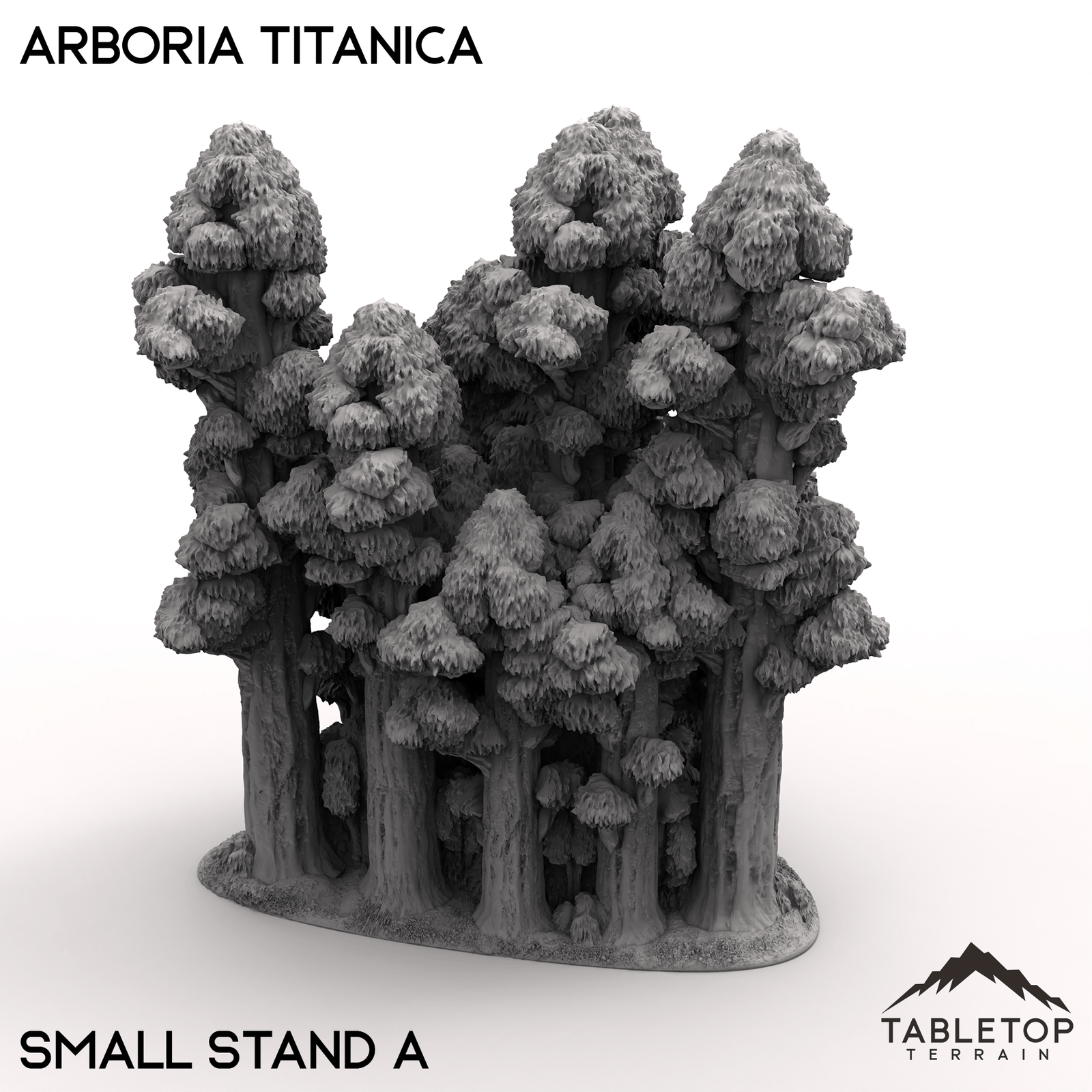 Arboria Titanica - 6-8mm